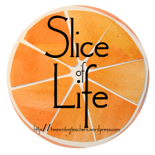 slice-of-life2